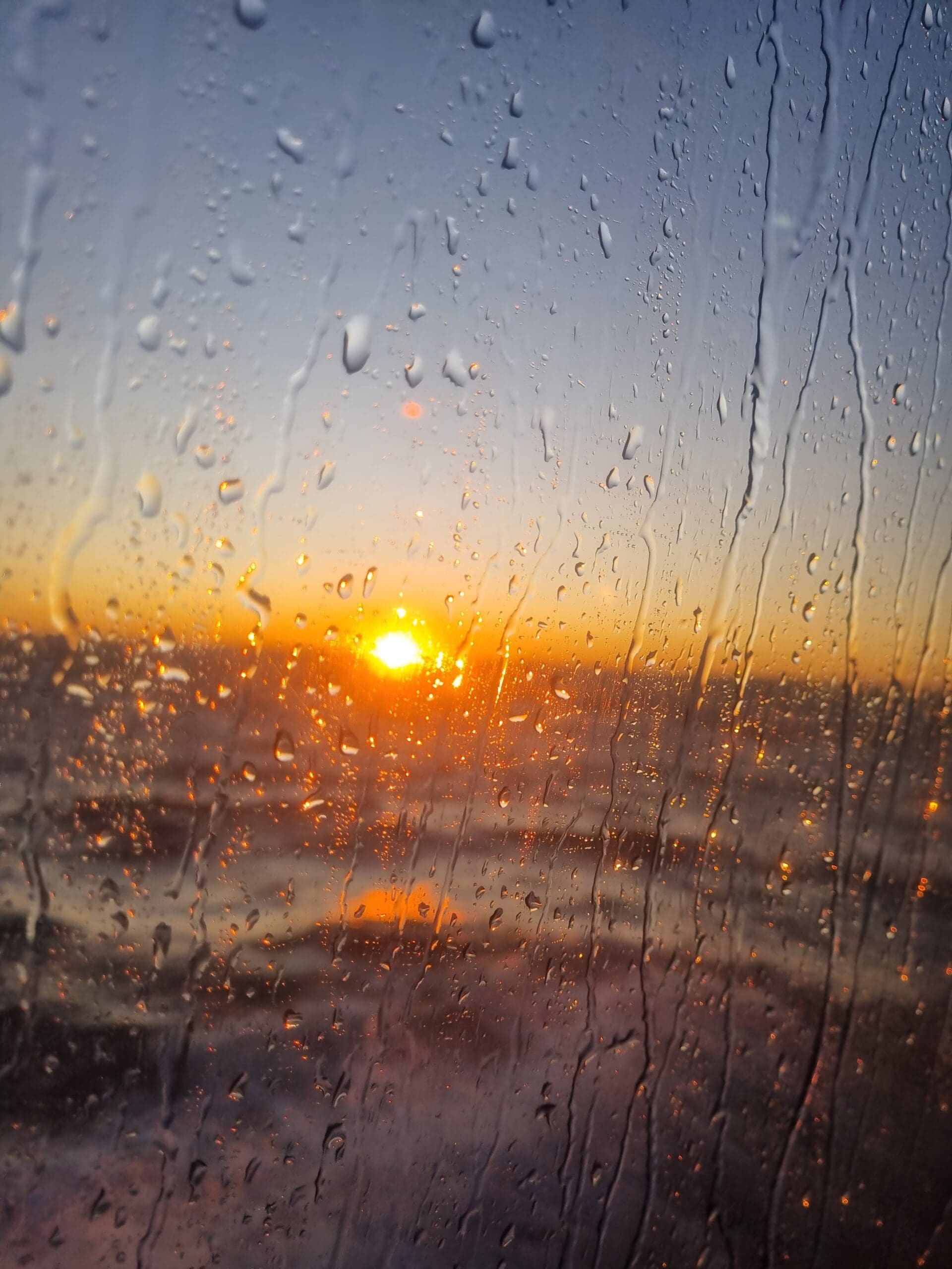 Morning sunlight symbolizing hope and gratitude during recovery