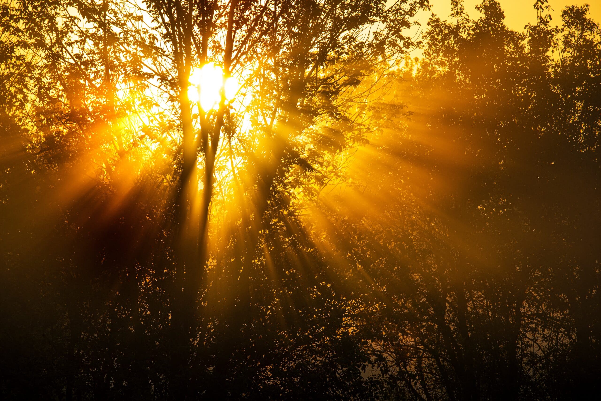 spirituality in addiction recovery meaning and purpose
